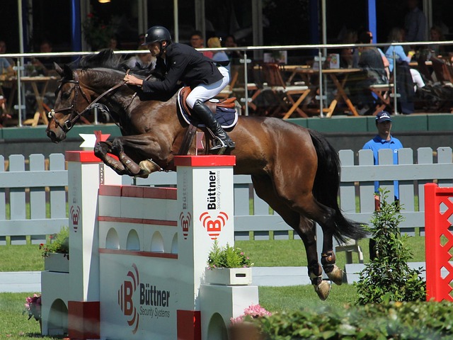 于帕梅卡诺：我对赛季首球很满意，续约与否与钱无关