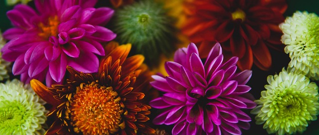 法尔克：于帕优先考虑与拜仁续约，也会考虑巴黎和皇马