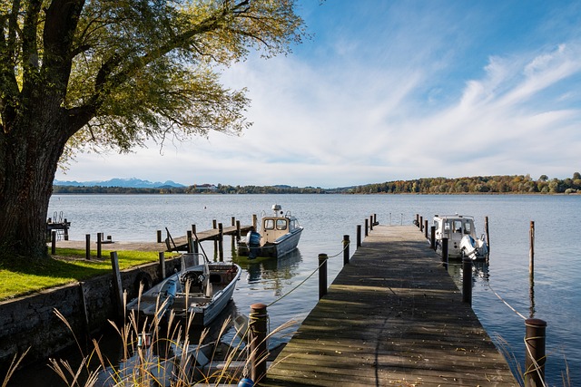 洛里：温哥华的人造草皮质量太差，在这样的场地比赛不可接受